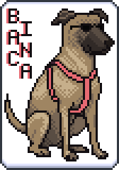 Paquete seleccionado